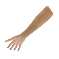 Female Hand on white. 3D illustration