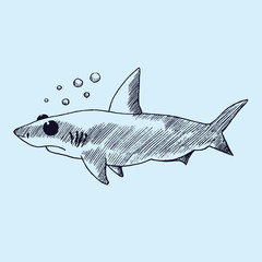 Cartoon character of shark with bubbles, hand drawn doodle sketch, isolated vector outline illustration