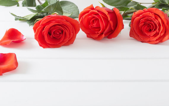 red roses on white wooden planks background