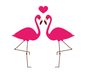 Fototapeta premium zwei sich liebende pinke flamingos