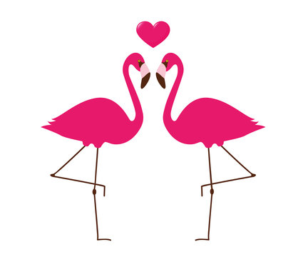 zwei sich liebende pinke flamingos