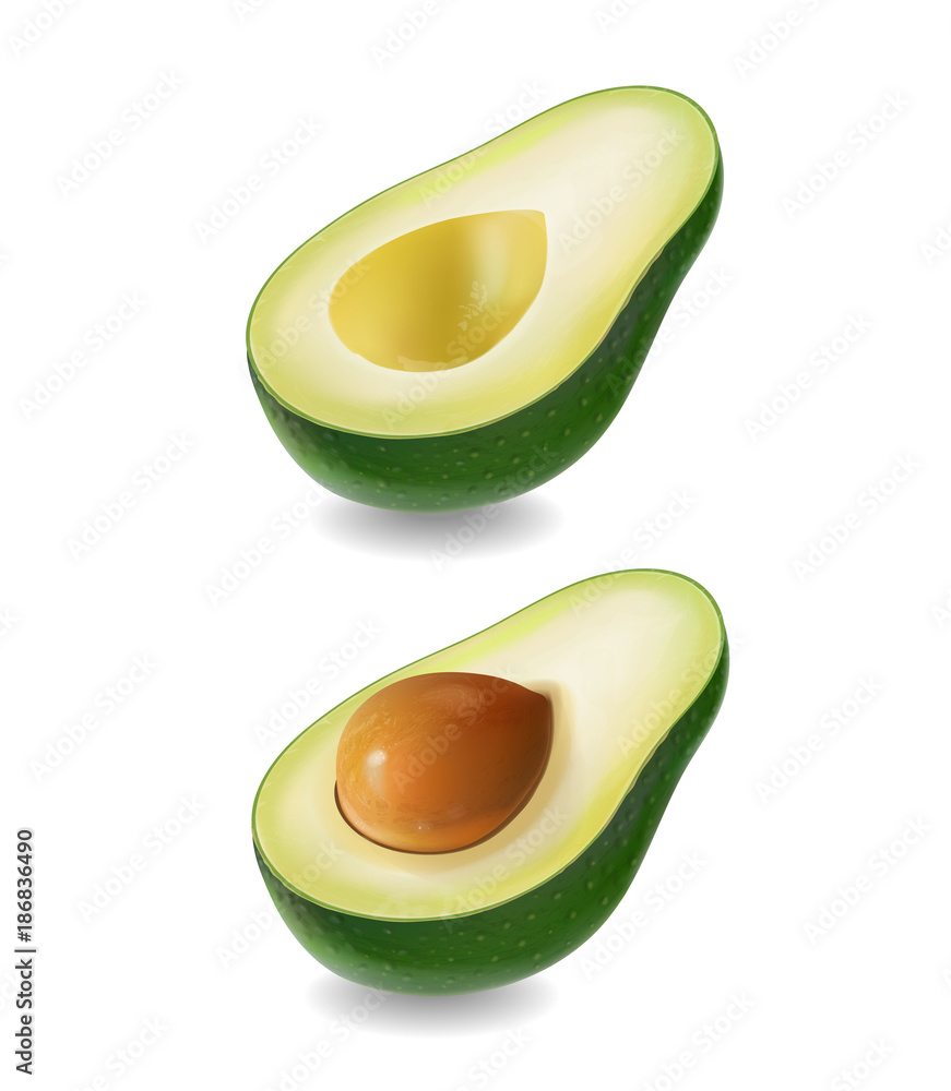 Wall mural Ffresh fruit avocado isolated on white background. Realistic vector