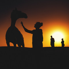 Obraz na płótnie Canvas Abu Dhabi Camel Riding