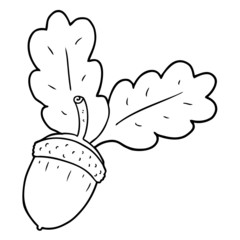cartoon acorn