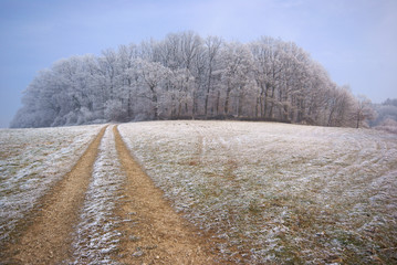 Auf dem Weg zu einer kleinen frostigen Waldlandschaft
