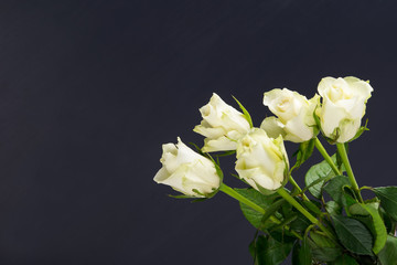 bouquet of white fresh roses on a black background