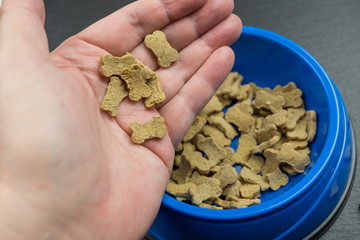 Human hand with dog treat in the shape of a bone, in the background a blue dog bowl