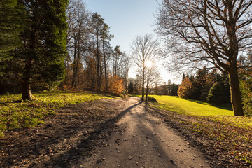 Small dirt road throug the garden at the botanical garden at Gimle Gaard, in Kristiansand, Norway