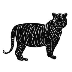 isolated silhouette tiger is standing