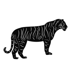 vector, isolated silhouette tiger is standing