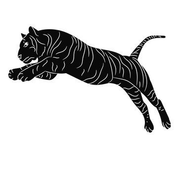 vector, isolated silhouette of a tiger jumping