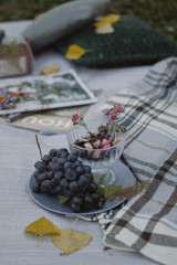 sweet, strawberry, red, cake, blue, berries, ripe, breakfast, organic, freshness, summer, delicious, white, blueberries, snack, leaf, green