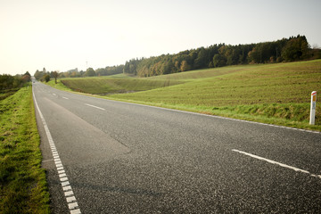 Landscape with green fields and a long road disappearing out in the horizon.