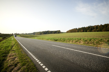 Landscape with green fields and a long road disappearing out in the horizon.
