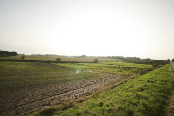 Landscape with green fields and a long road disappearing out in the horizon.