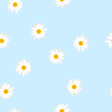 Seamless Floral Pattern White Flowers Daisy On Blue Background, Vector, Eps 10