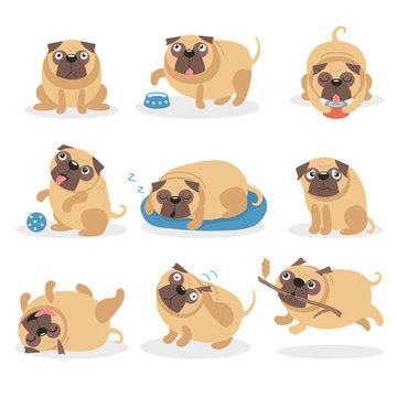 Cute funny pug dog set, dog in different poses and situations cartoon vector Illustrations