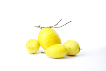 group of amalfi citrus fruit on white background