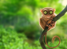 Tarsier monkey (Tarsius Syrichta) in natural jungle environment, Philippines. Digital art.
