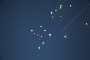 Balloon release. Balloons flying to the sky.