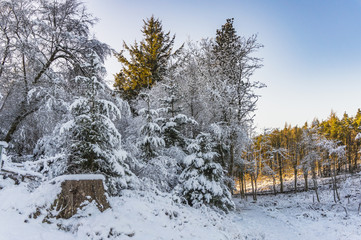 Beecraigs in the Snow