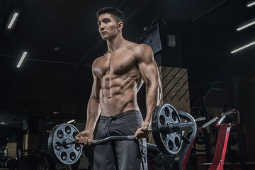Fototapeta na wymiar A young handsome man doing exercise with a barbell in a modern sports club, exercises for the biceps, a good figure, a handsome Asian man