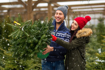 Couple buying Christmas tree
