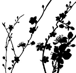 Silhouette Blossom Flowers Background Pattern