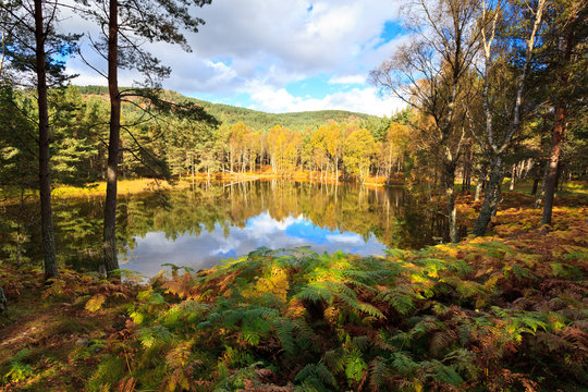 Cambus o'May Lochan, Deeside, Scotland