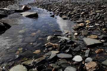 Cornwall, low tide, stream