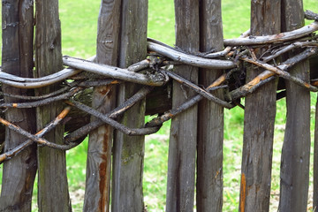 Fototapeta premium Zaun, Weidenflechtzaun