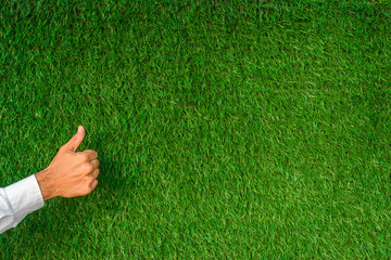 Thumb up with a blank on a green grass background. Social media concept