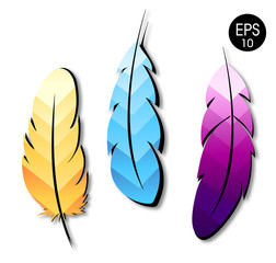 Colorful geometric feathers' set. Vector Feather