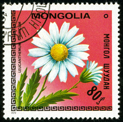 Ukraine - circa 2018: A postage stamp printed in Mongolia shows drawing Flower Leucanthenum...