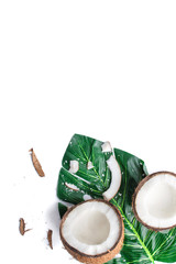 Coconut with palm branches