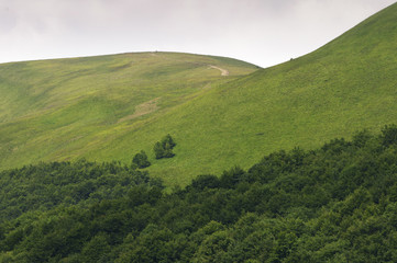 mountains in Poland - Bieszczady   © Maciej Sobczak