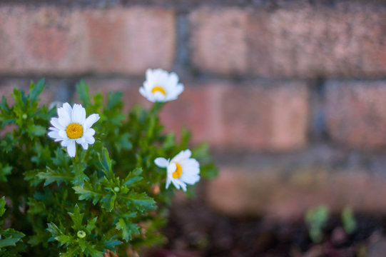 山本 一也 Photos Images Assets Adobe Stock 山本 一也 Photos Images Assets Adobe Stock