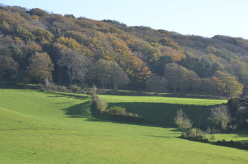 Fototapeta na wymiar Autumnal fields in England