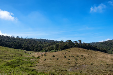 Fototapeta na wymiar Scenic view in Horton Plains, Sri Lanka