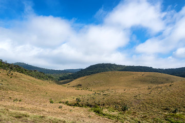 Obraz premium Scenic view in Horton Plains, Sri Lanka