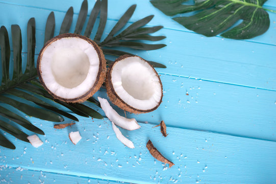 Coconut and palm branch on a blue table