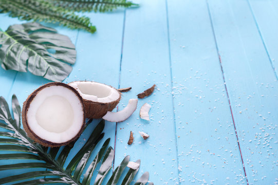 Coconut and palm branch on a blue table