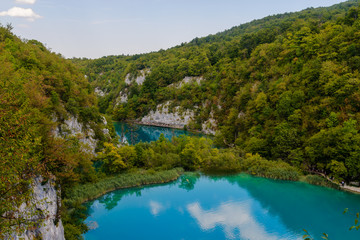 Fototapeta premium Turquoise water in the Plitvice Lakes National Park. Croatia. Europe.