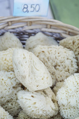 Pile of natural sea sponges