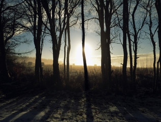 Fototapeta na wymiar Rustic Winter Morning - a crisp, clear sunrise is seen through the trees on a cold winter morning in rural Scotland. 