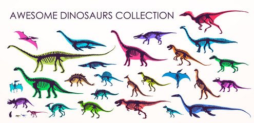 Set of silhouettes, dino skeletons, dinosaurs, fossils. Hand drawn vector illustration. Realistic Sketch collection: diplodocus, triceratops, tyrannosaurus, doodle pattern... © Gluiki