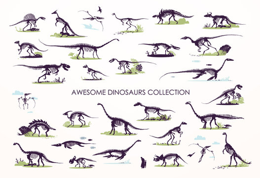 Set of silhouettes, dino skeletons, dinosaurs, fossils. Hand drawn vector illustration. Realistic Sketch collection: diplodocus, triceratops, tyrannosaurus, doodle pattern...
