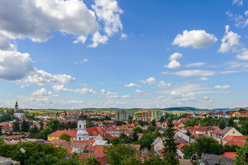 Fototapeta na wymiar Panoramic view of Eger on the castle and roofs, Hungary