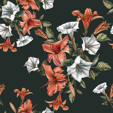 3 2 Best Datura Images Stock Photos Vectors Adobe Stock
