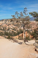 Bryce Canyon